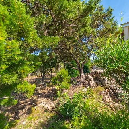 Hermosa Casa vacanze Cannigione